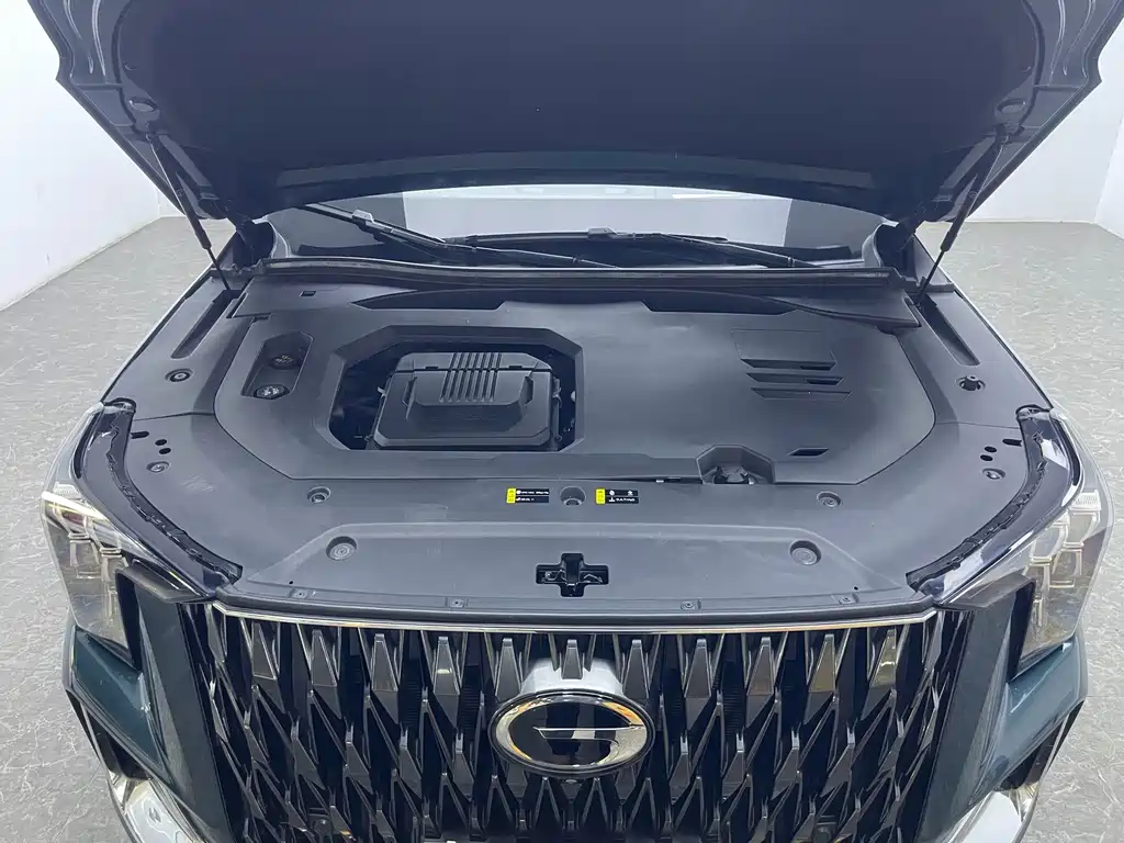 GAC Trumpchi GS8 2022 — фото 18