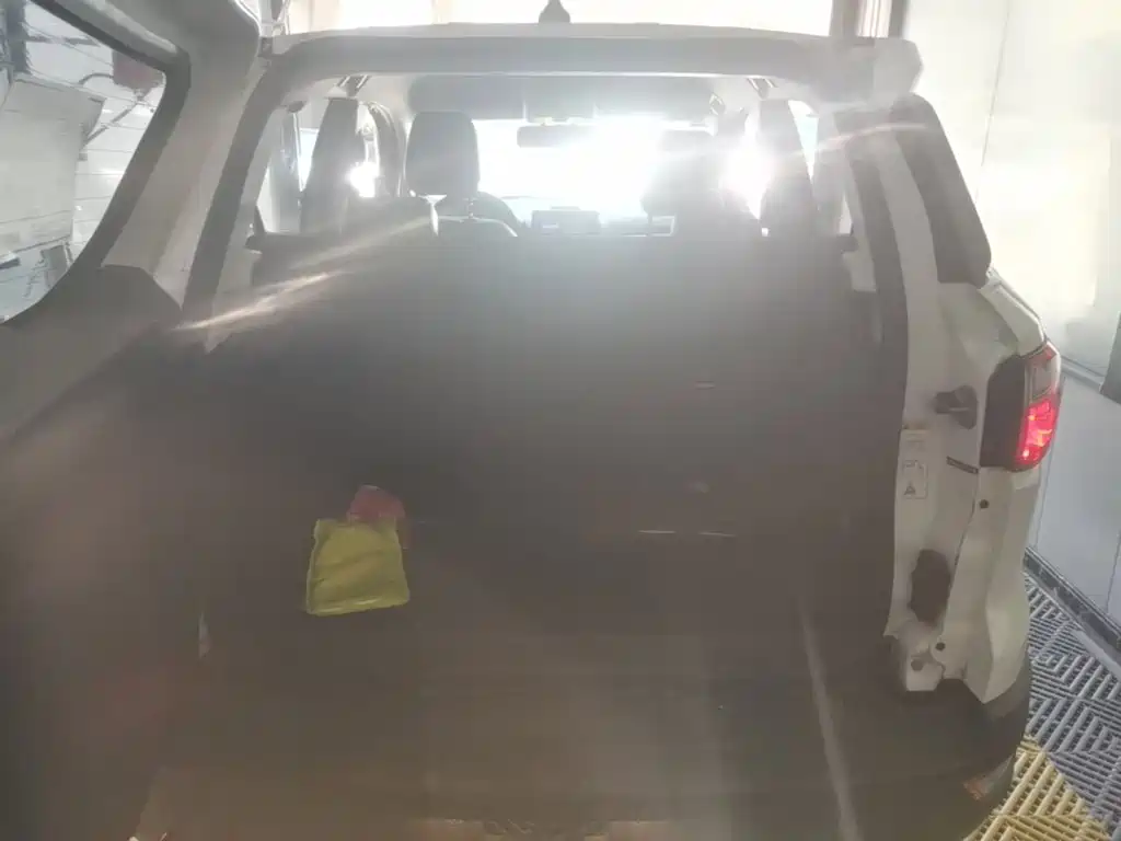 Ford EcoSport 2019 — фото 19