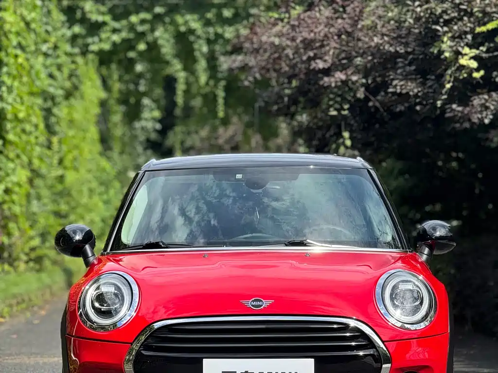 MINI MINI 2019