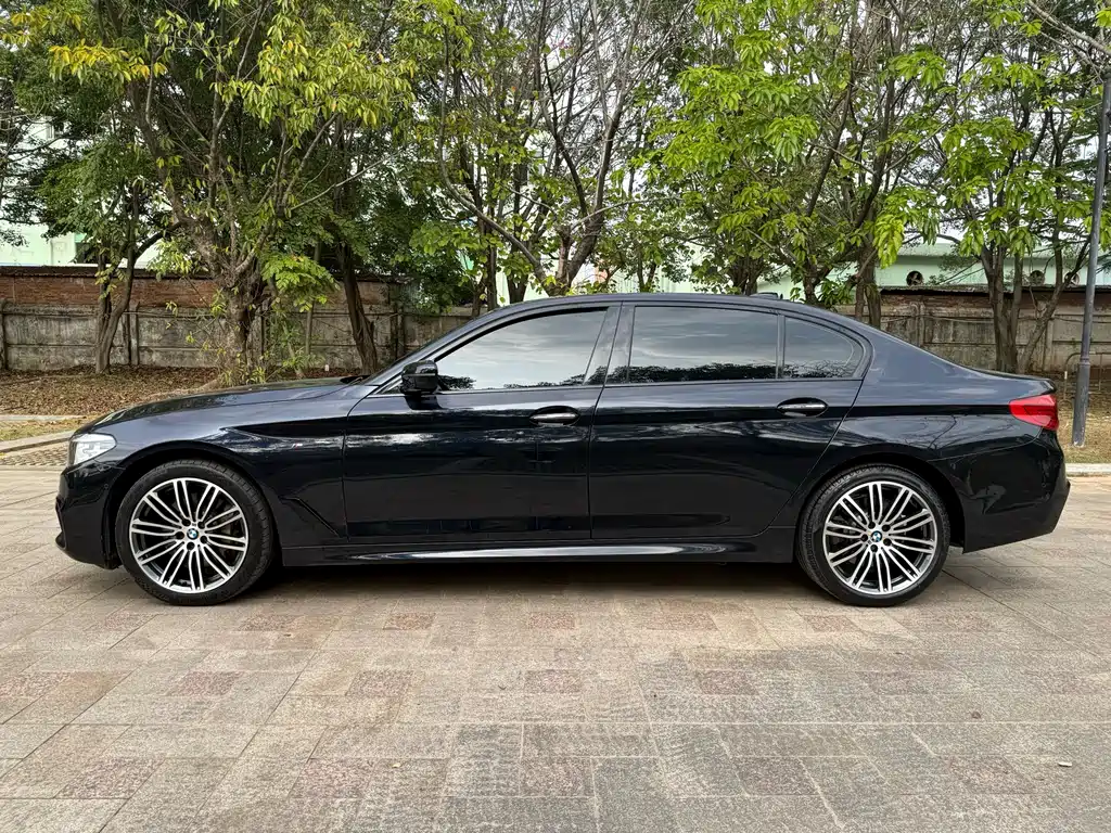 BMW 5 Series 2017 — фото 19