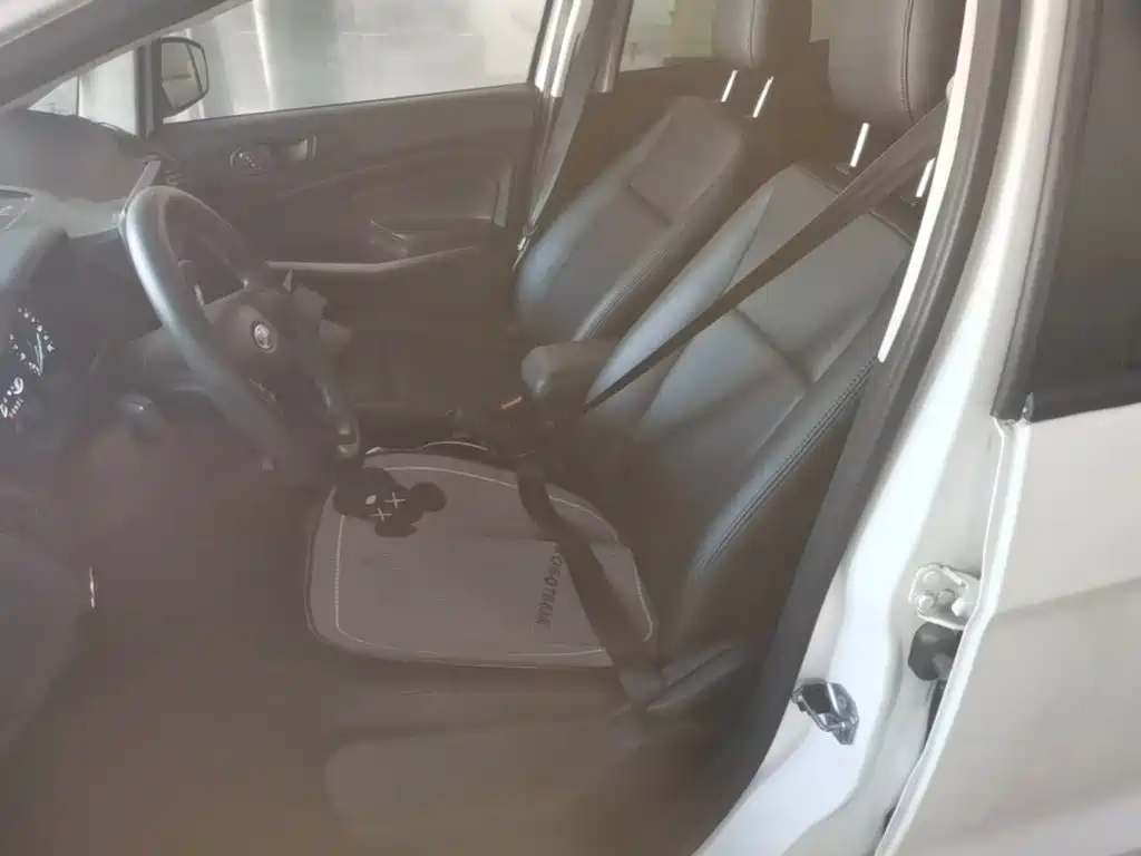 Ford EcoSport 2019 — фото 15