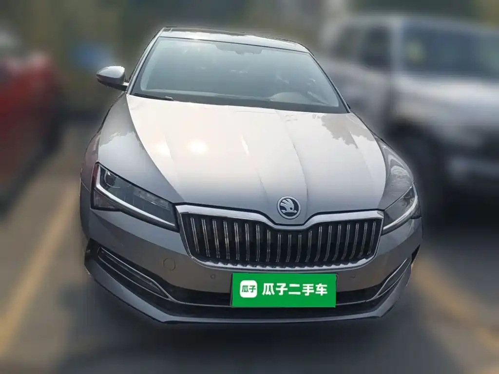 Skoda Speedy 2019 — фото 24