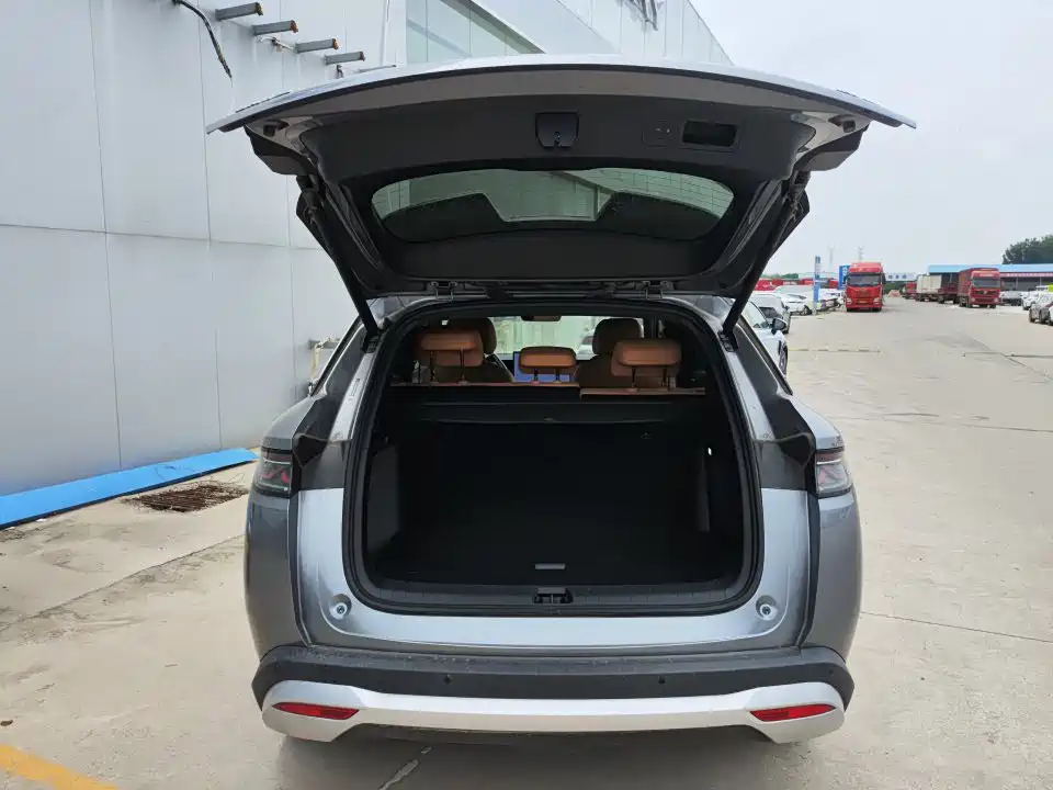BYD L DM-i 2024 — фото 9