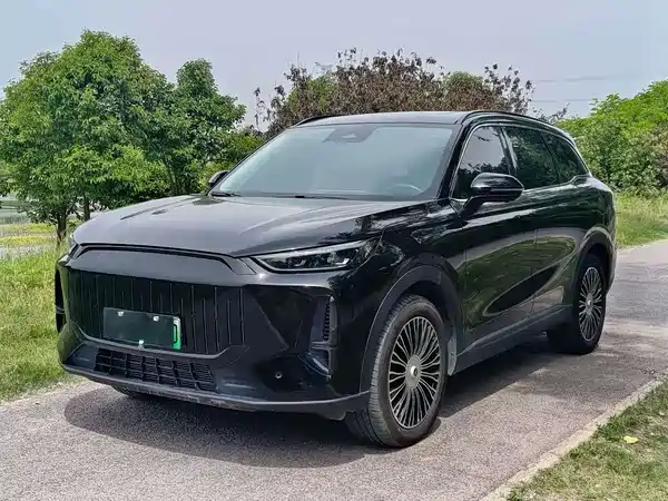 Chery Fengyun T9 2024