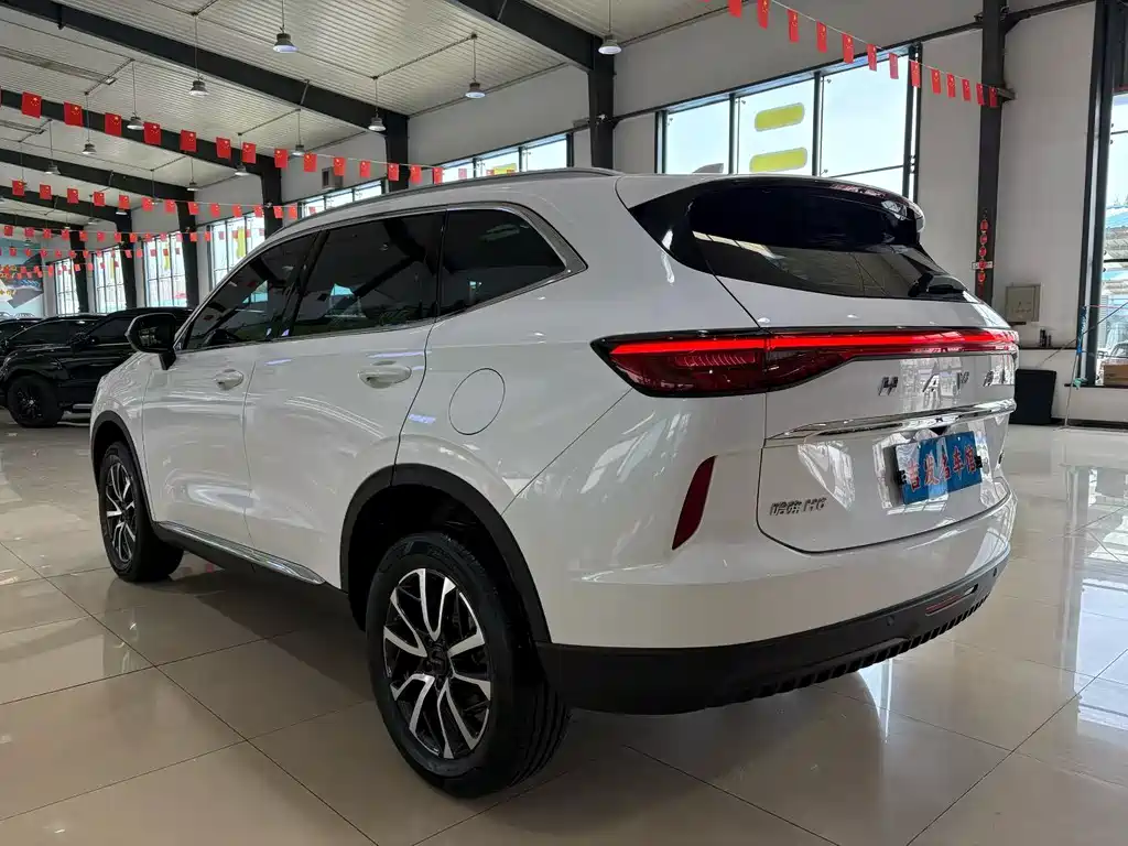 Haval H6 2021 — фото 18