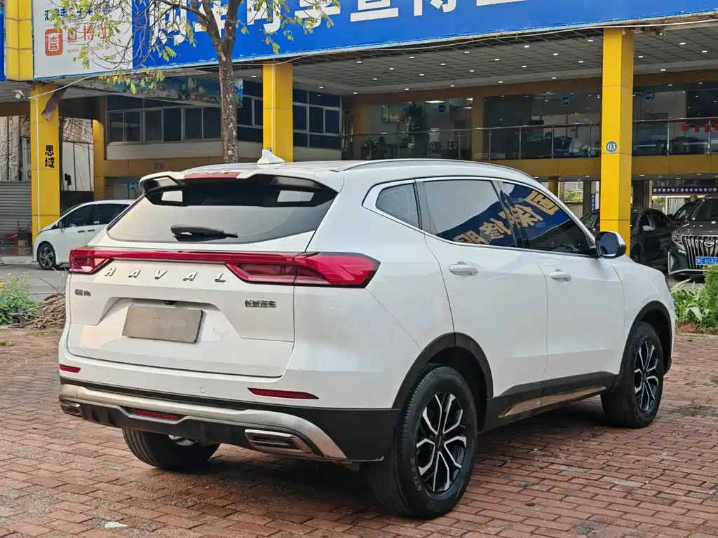 Haval H6 2021 — фото 4