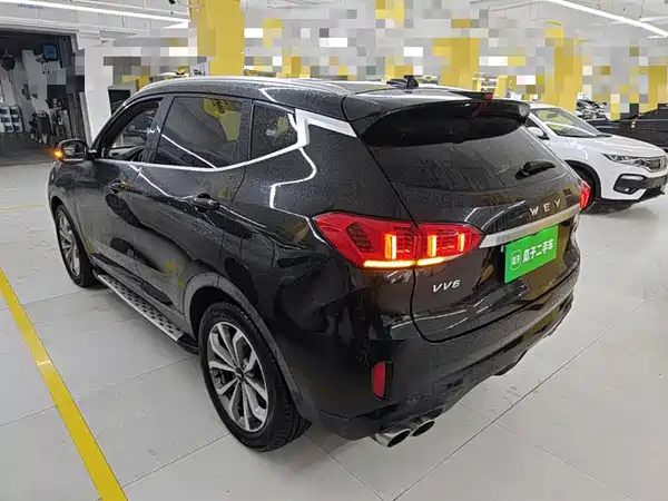 Wey VV6 2020