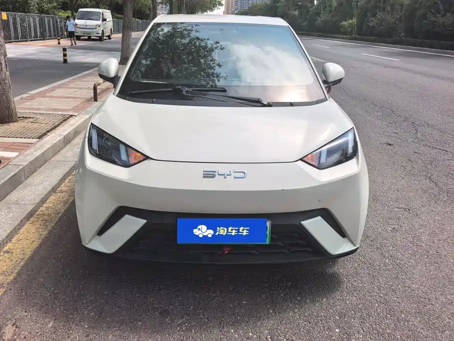 BYD Seagull 2024