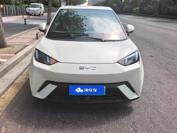 BYD Seagull 2024
