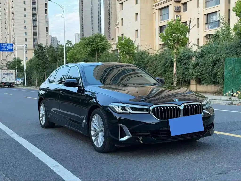 BMW 5 Series New Energy 2020