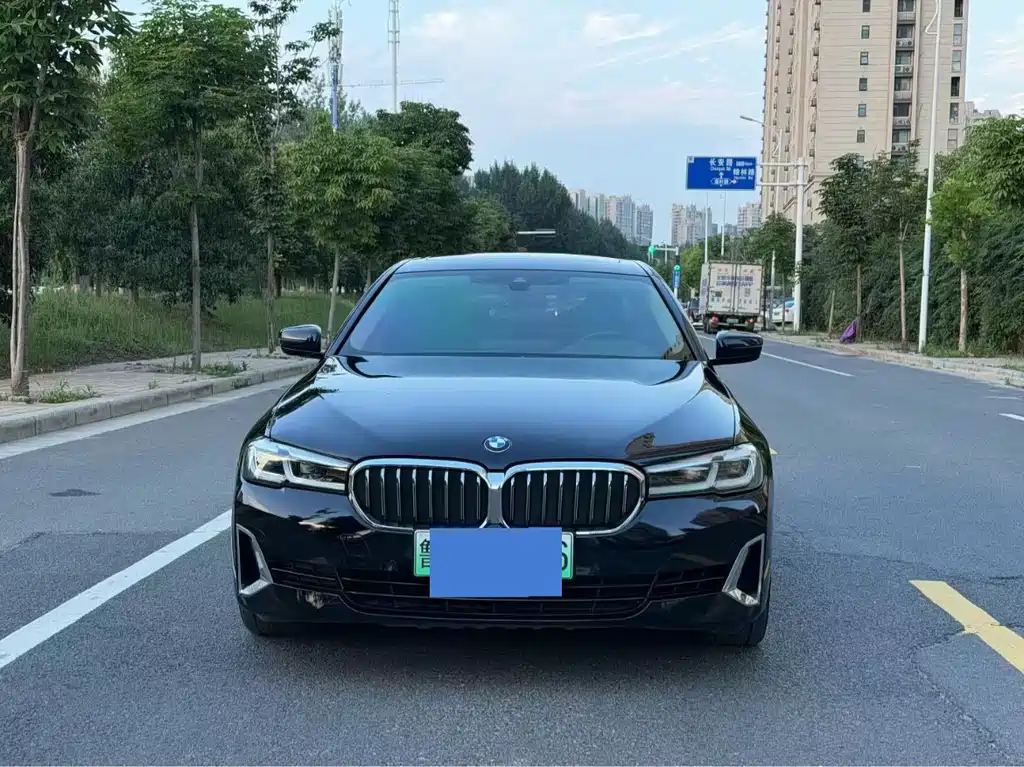 BMW 5 Series New Energy 2020 — фото 2