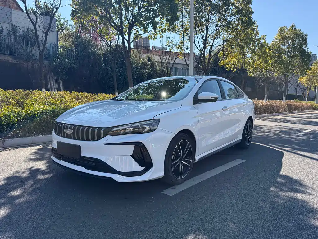 Geely Binrui 2024