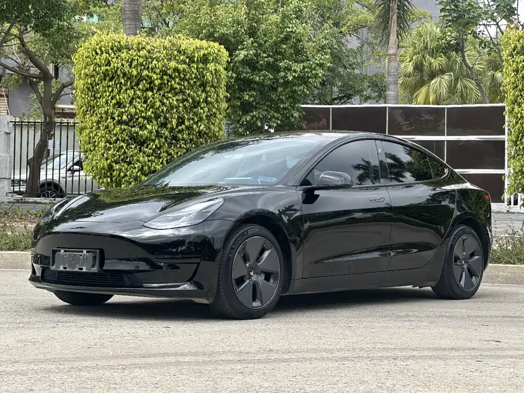 Tesla Model 3 2023 — фото 2