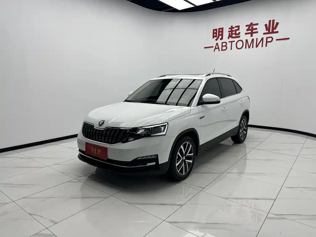 Skoda Kamiq 2024 — фото 4