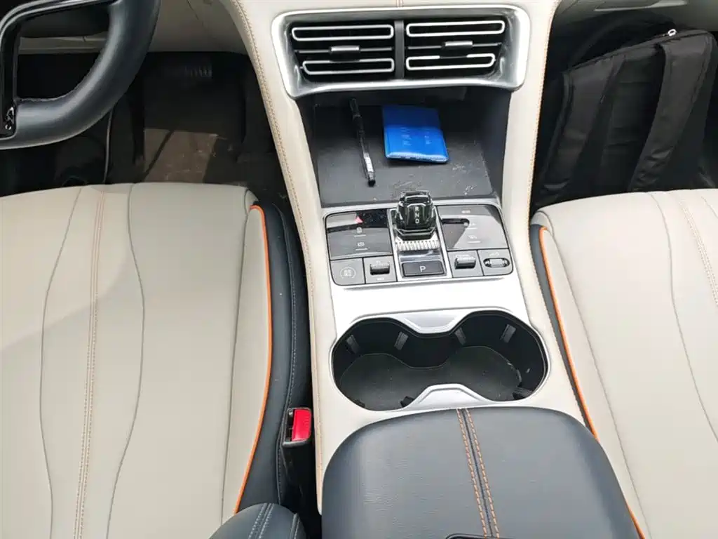 BYD PLUS New Energy 2024 — фото 13