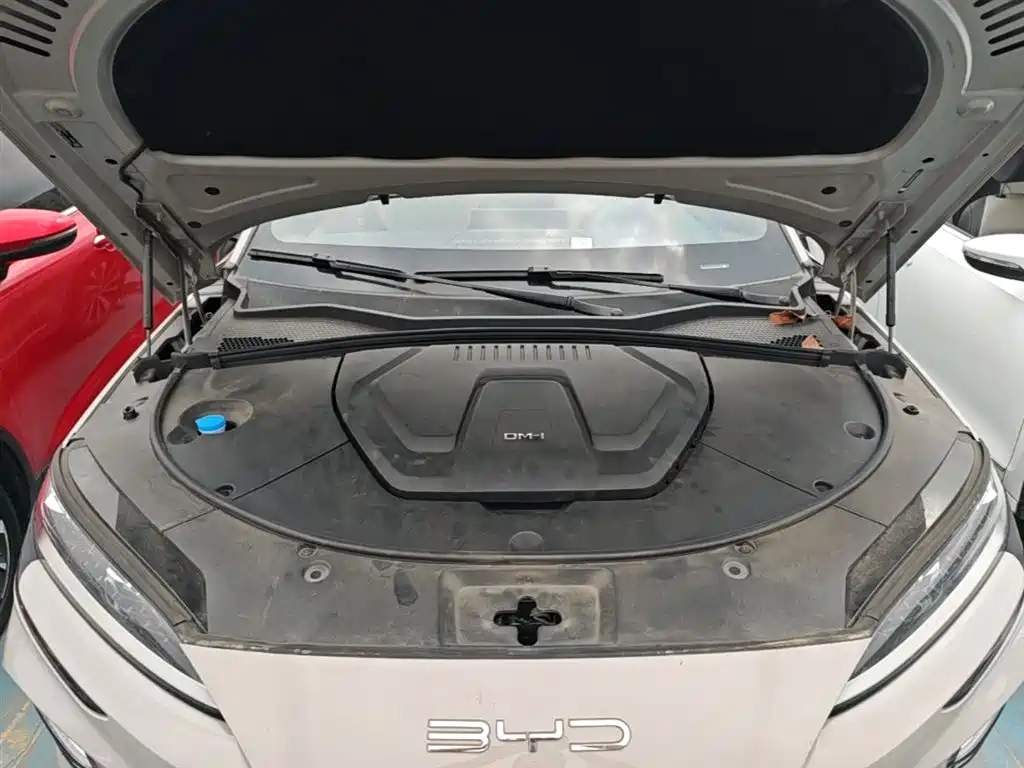 BYD PLUS New Energy 2024 — фото 19