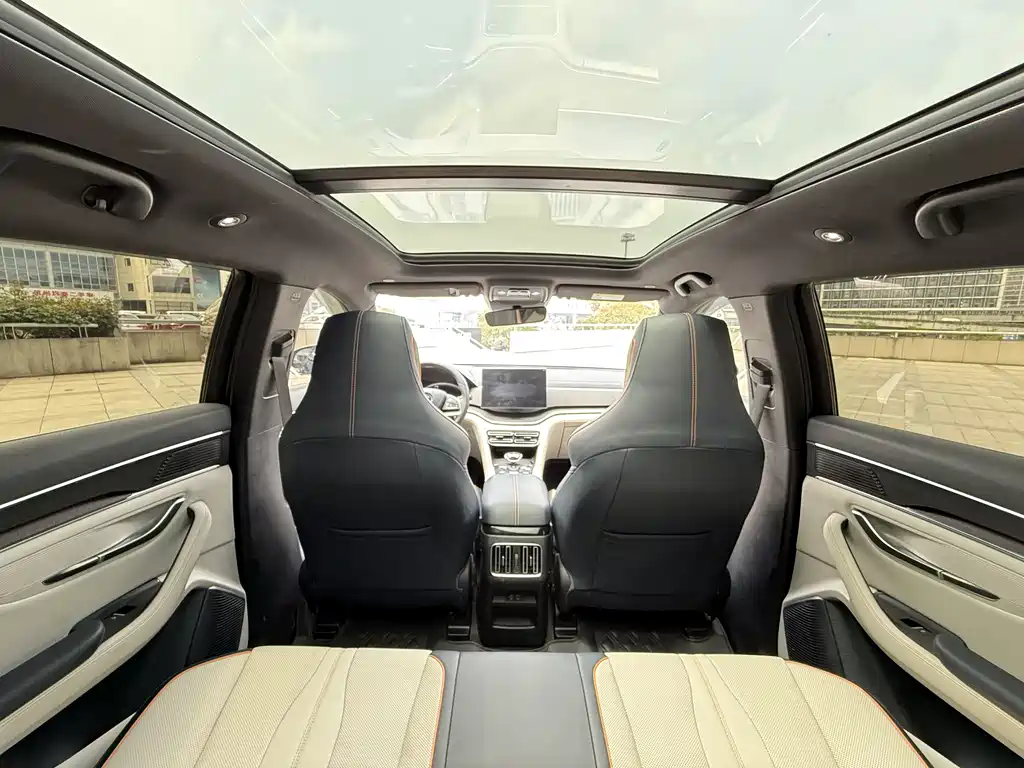 BYD PLUS New Energy 2022 — фото 14