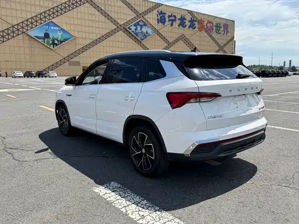 Skoda Kamiq 2022