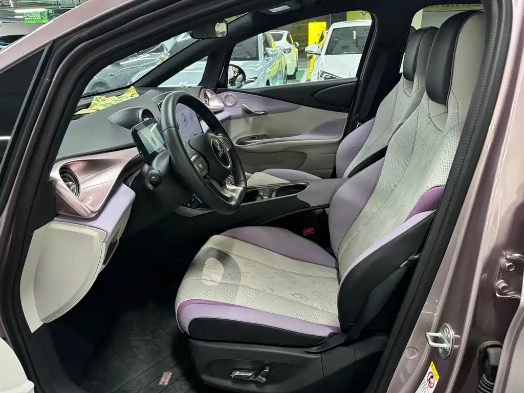 BYD Dolphin 2024
