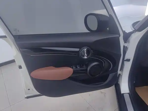 MINI MINI 2022