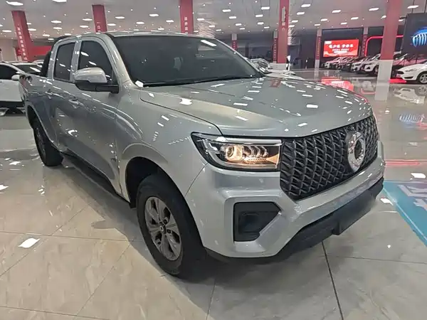 Great Wall Poer 2024