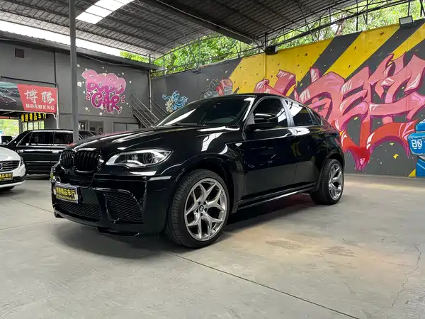 BMW X6 2009