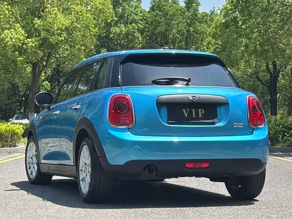 MINI MINI 2018