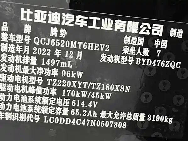 Denza D9 2023