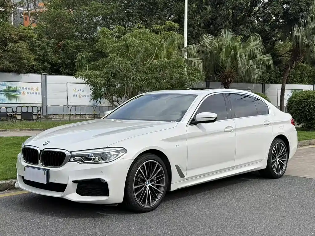 BMW 5 Series 2020 — фото 1
