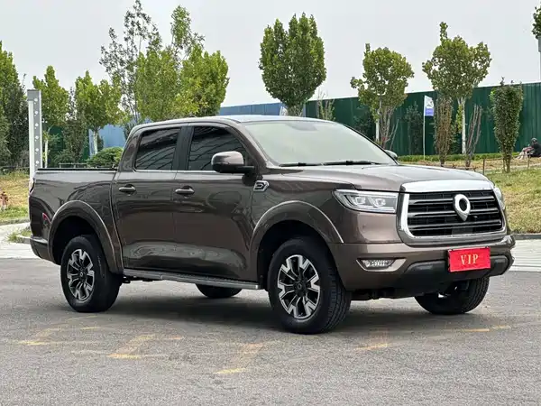 Great Wall Poer 2020