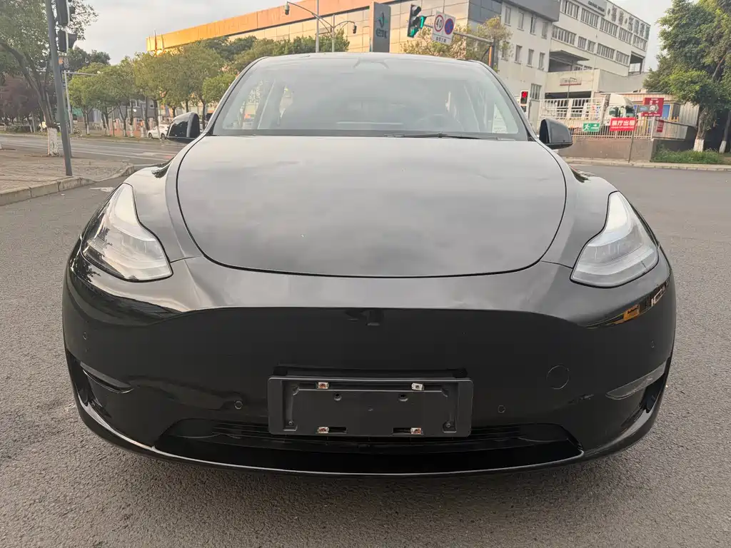 Tesla Model Y 2021 — фото 2