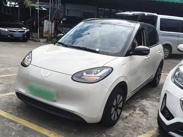 Wuling Bingo 2024