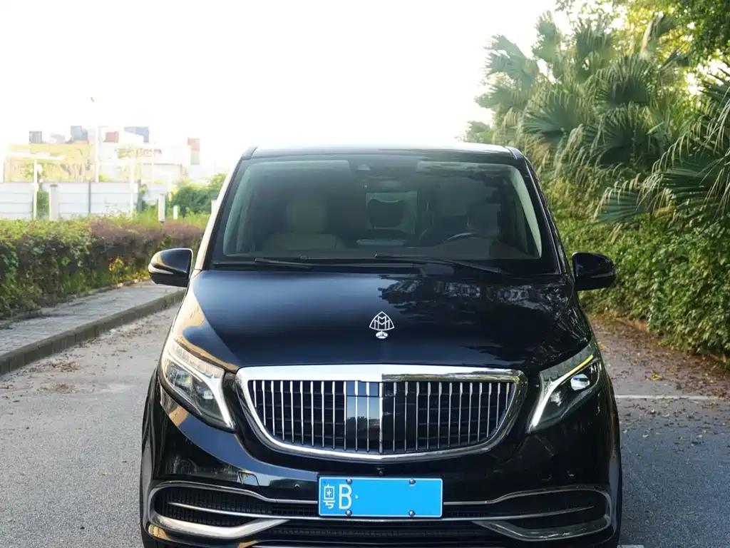 Mercedes-Benz V-Class 2016 — фото 3