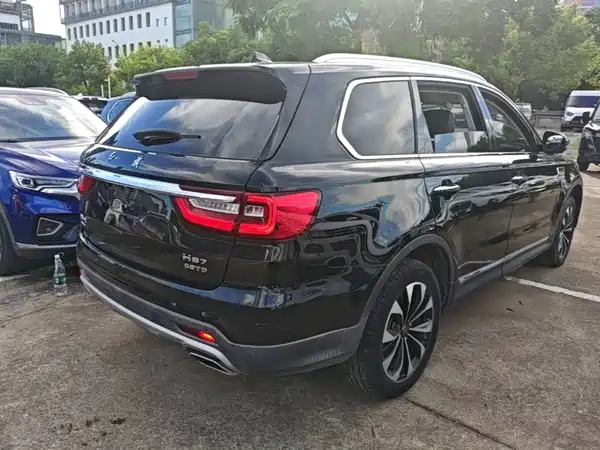 Hongqi HS7 2020
