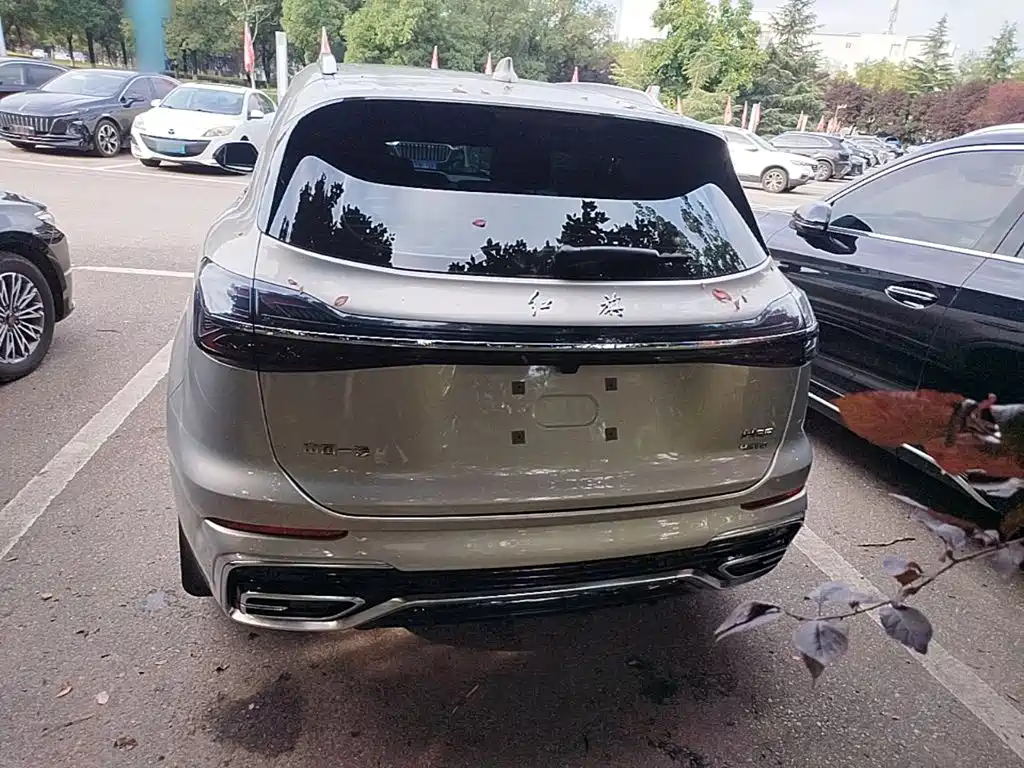 Hongqi HS5 2024