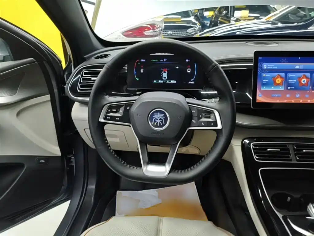 BYD Qin PLUS 2023 — фото 11
