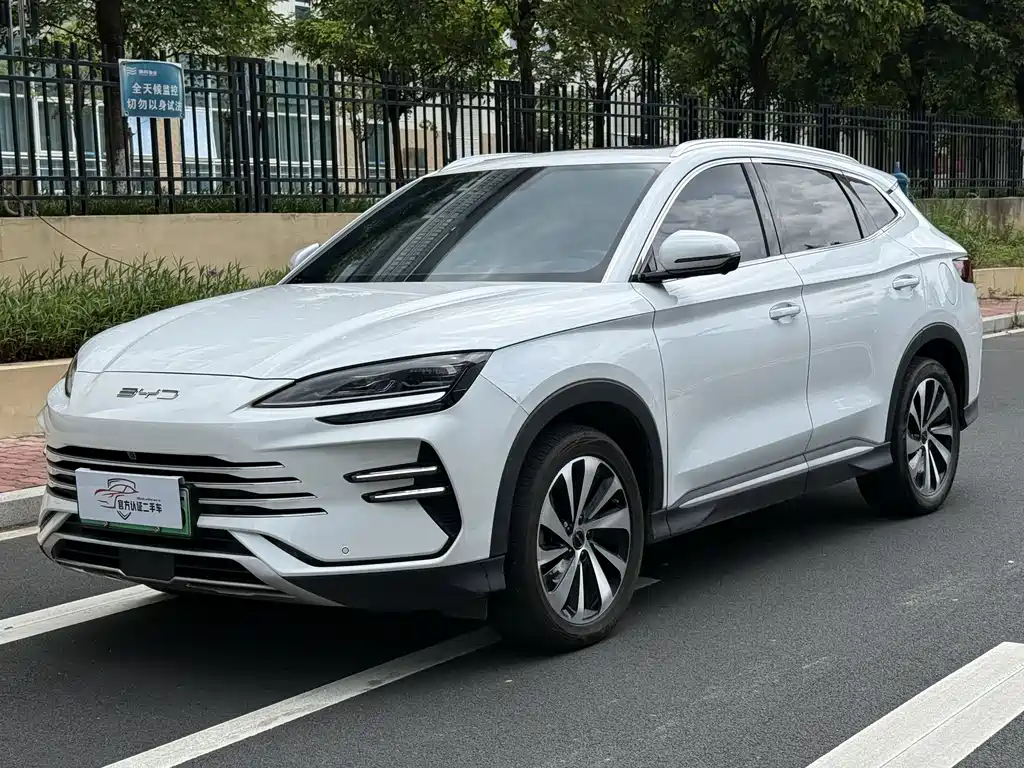 BYD PLUS New Energy 2024 — фото 1