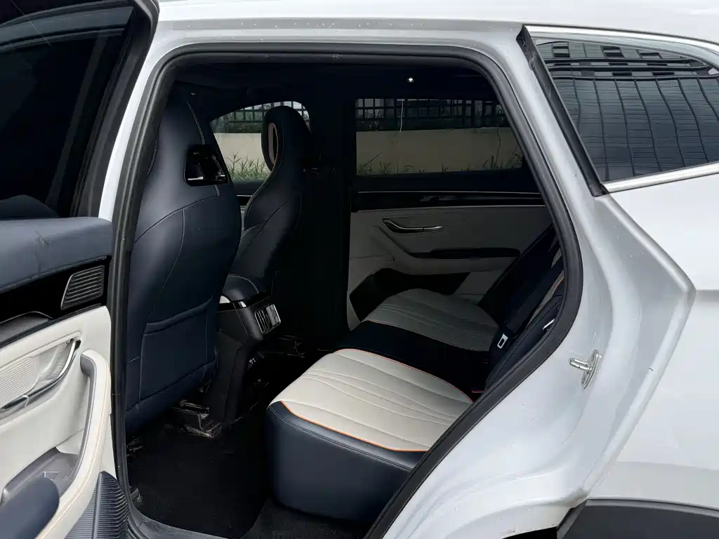 BYD PLUS New Energy 2024 — фото 14
