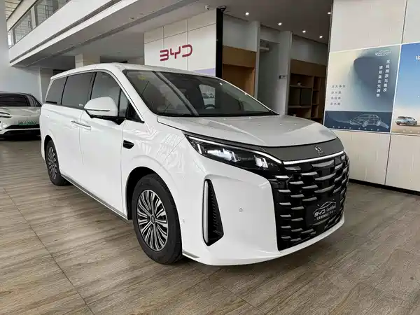 BYD Summer 2025