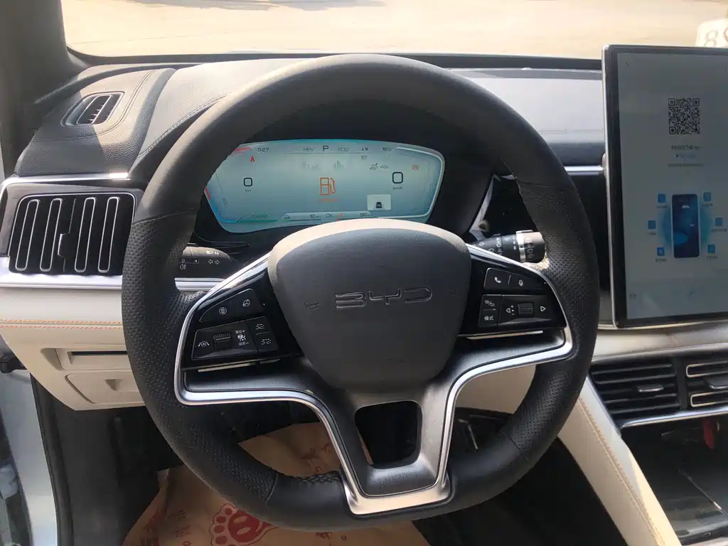 BYD PLUS New Energy 2023 — фото 17