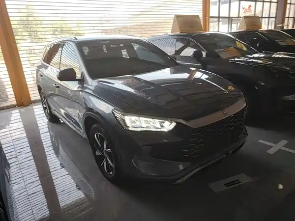 BYD Song Pro New Energy 2024