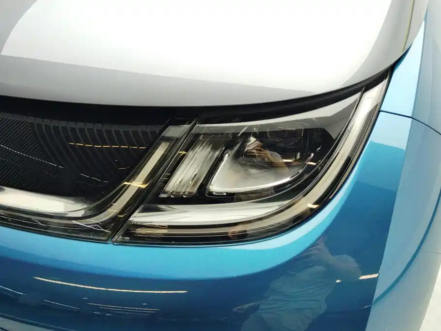 BYD Dolphin 2022