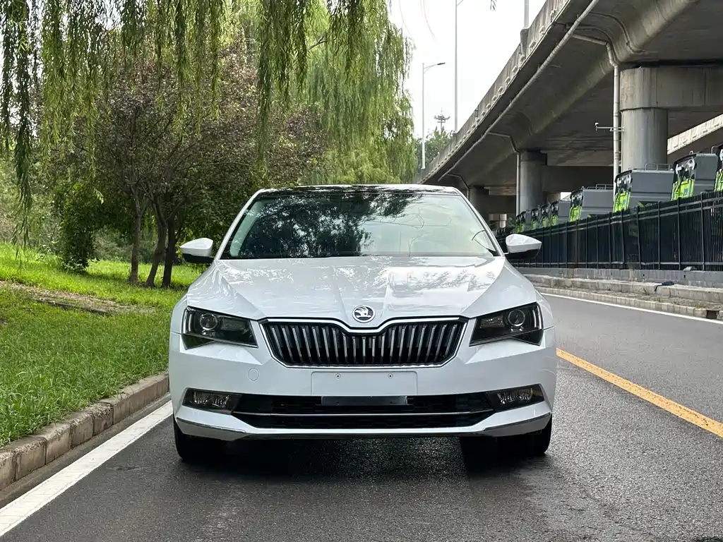 Skoda Speedy 2015