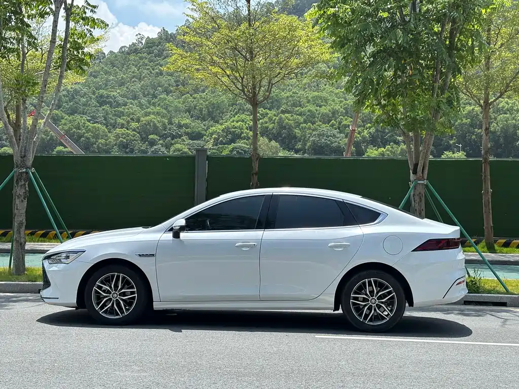 BYD Qin PLUS 2024