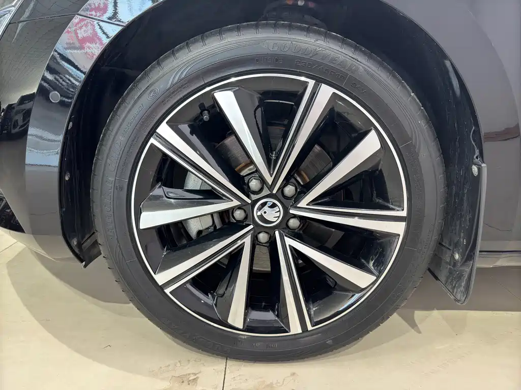 Skoda Speedy 2023 — фото 15