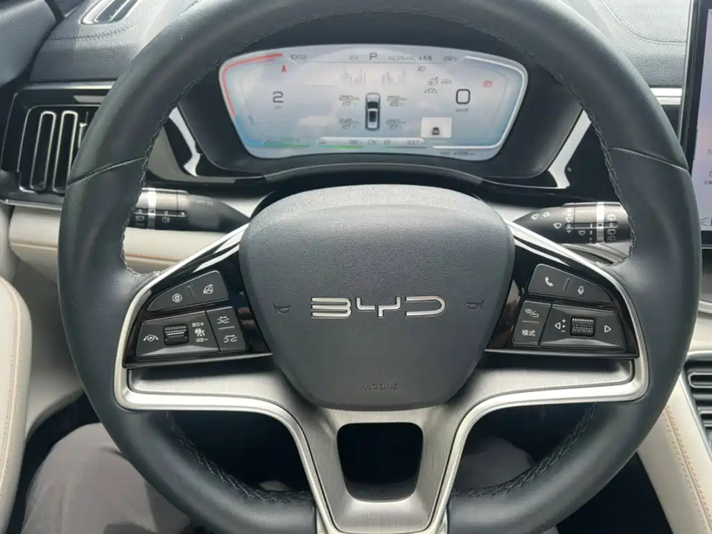 BYD Song PLUS New Energy 2024 — фото 12