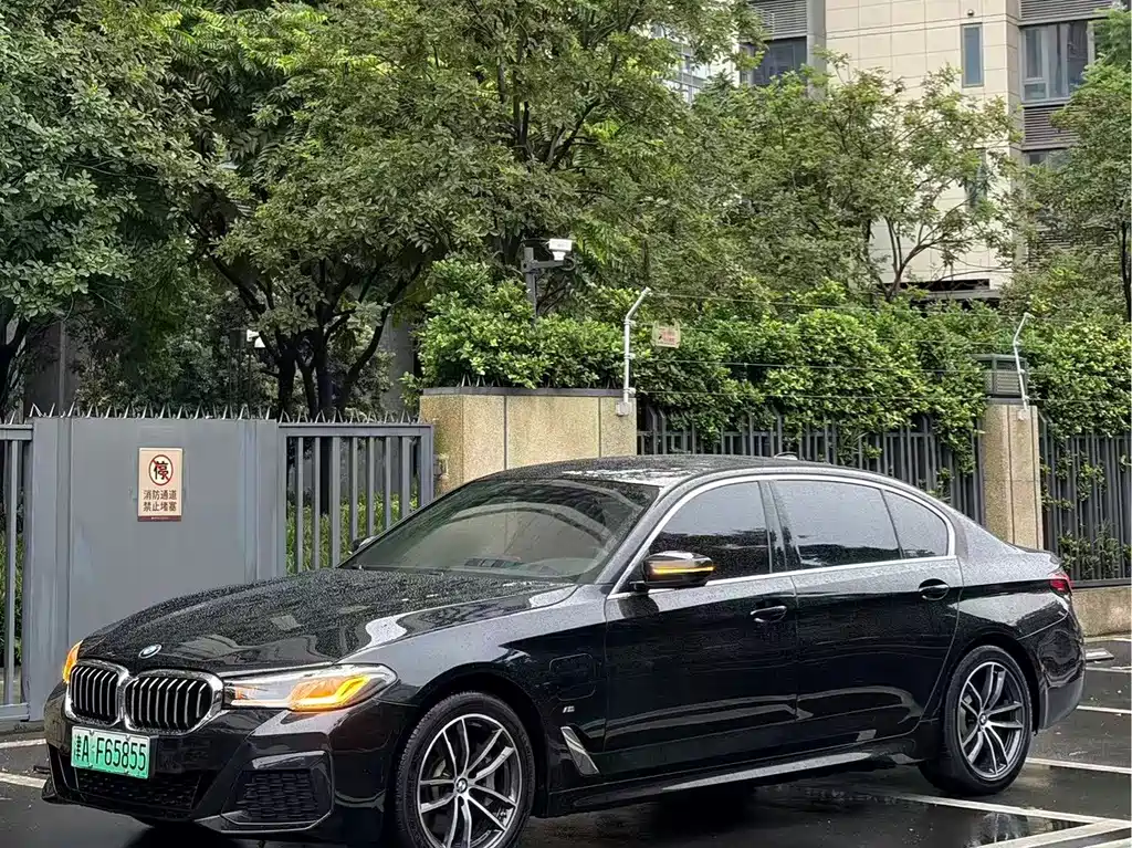 BMW 5 Series New Energy 2021