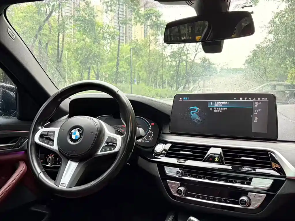 BMW 5 Series New Energy 2021