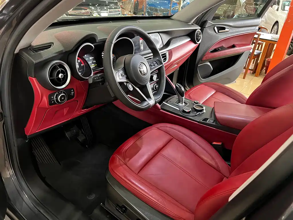 Alfa Romeo Stelvio 2019 — фото 12