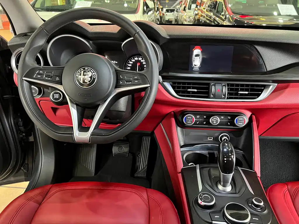 Alfa Romeo Stelvio 2019 — фото 14